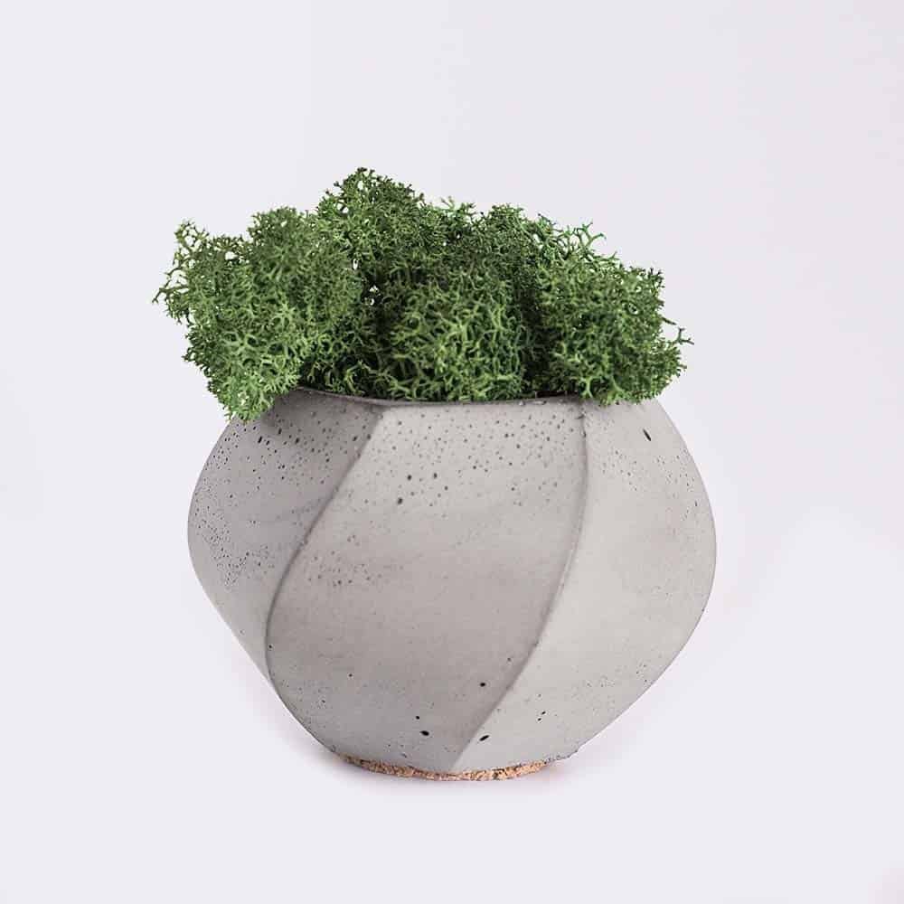 Store plant4 free img